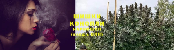 ALPHA-PVP Гусев