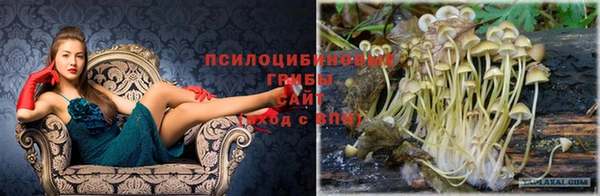 кокаин колумбия Сясьстрой