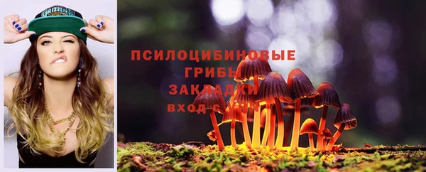 ALPHA-PVP Гусев