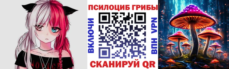 Галлюциногенные грибы Magic Shrooms  мега зеркало  Новошахтинск  купить закладку 