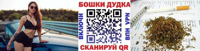 Конопля гибрид  кракен онион  Новошахтинск 